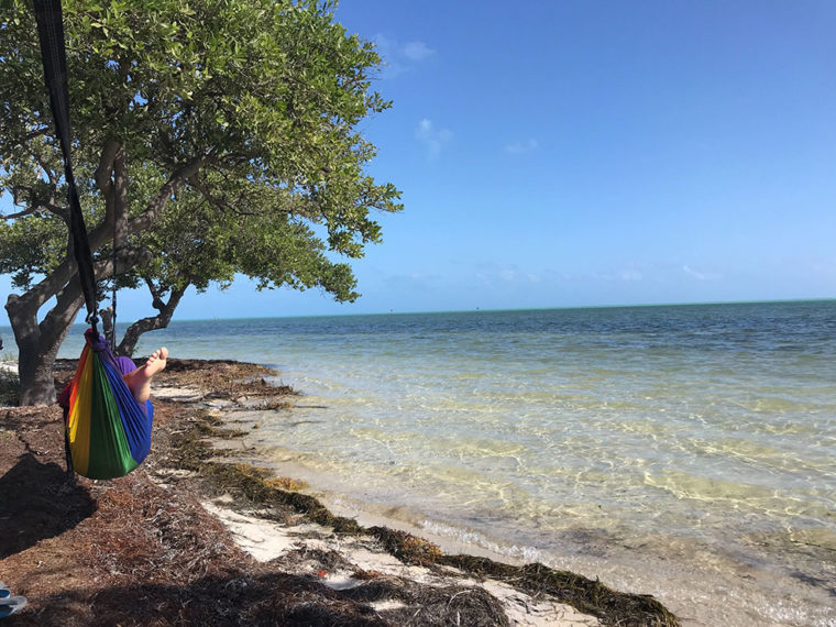 Everything You Need to Know About Camping Hammocks