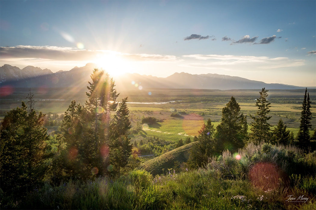 The Top 15 States for RV Camping in National Forests
