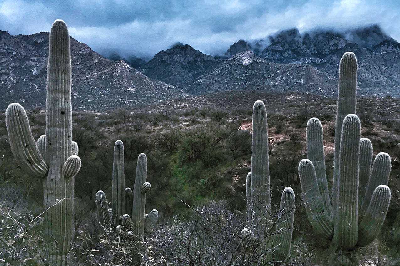 The 8 Best Tucson RV Parks