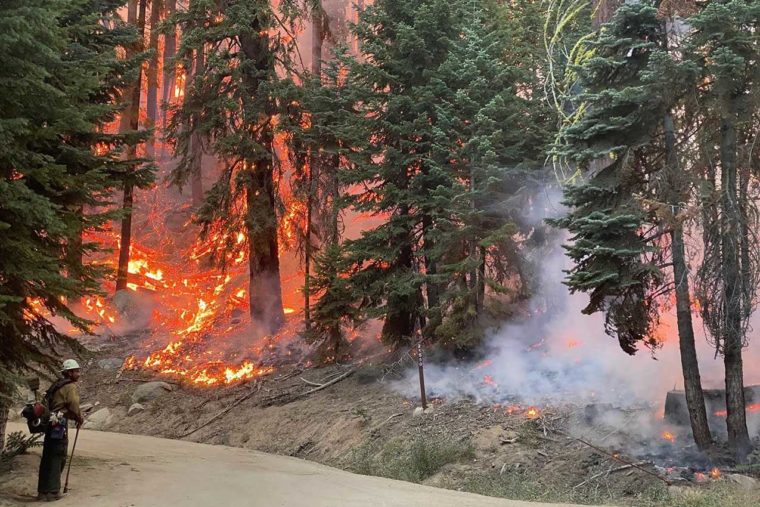 Camping With Wildfires: What You Need to Know