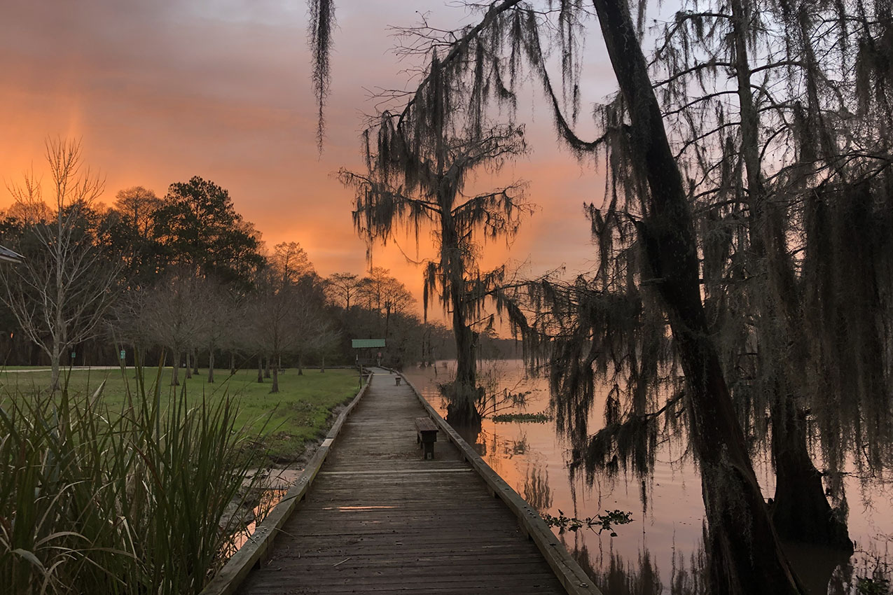 Best Camping in Louisiana – 2020
