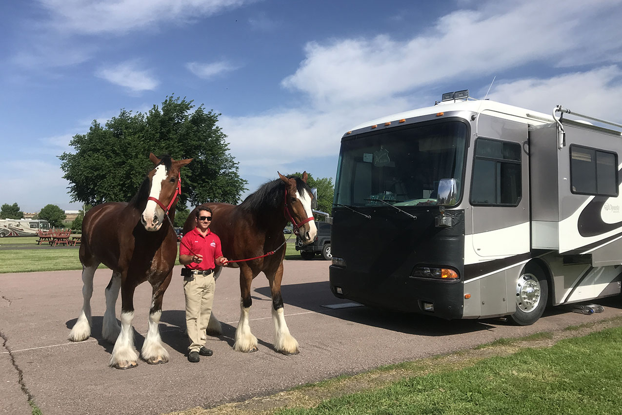 Camping with Horses – Best Campgrounds with Corrals and Packing Tips
