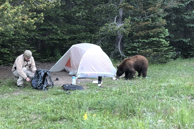Important Tips on How to Safely Camp in Bear Country