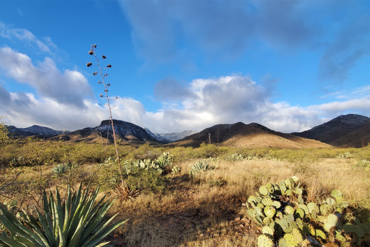 Beware of Arizona National Forest Closures Due to Wildfire Danger