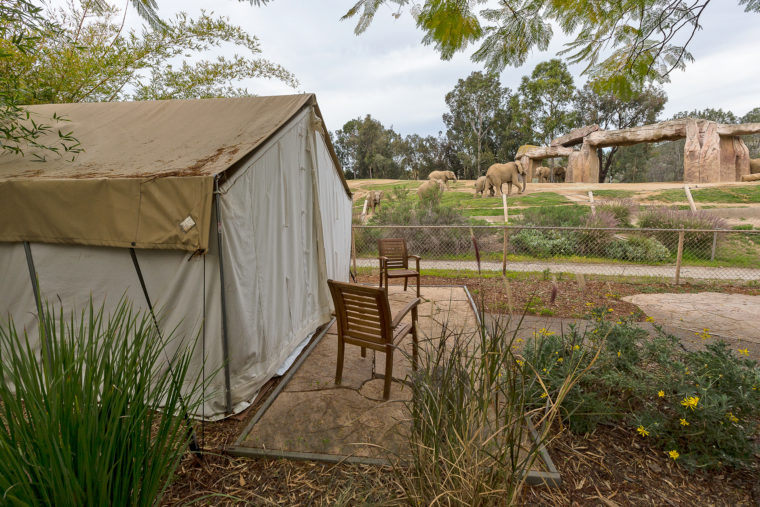 10 Cities with Epic Glamping Locations