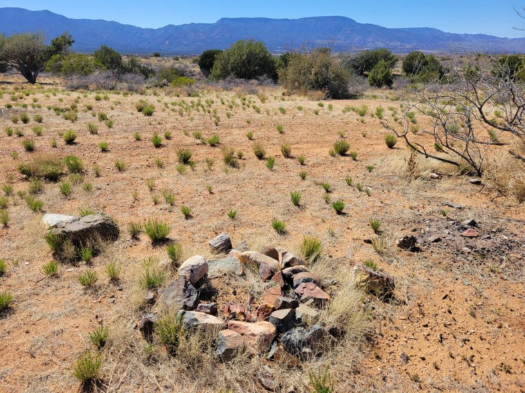 An Update on Dispersed Camping in Arizona’s Prescott National Forest