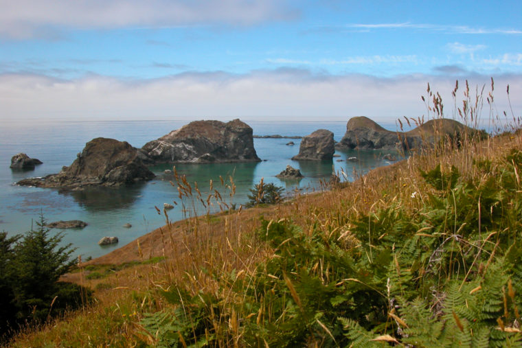 10 Wildlife Refuges With RV Campgrounds Nearby