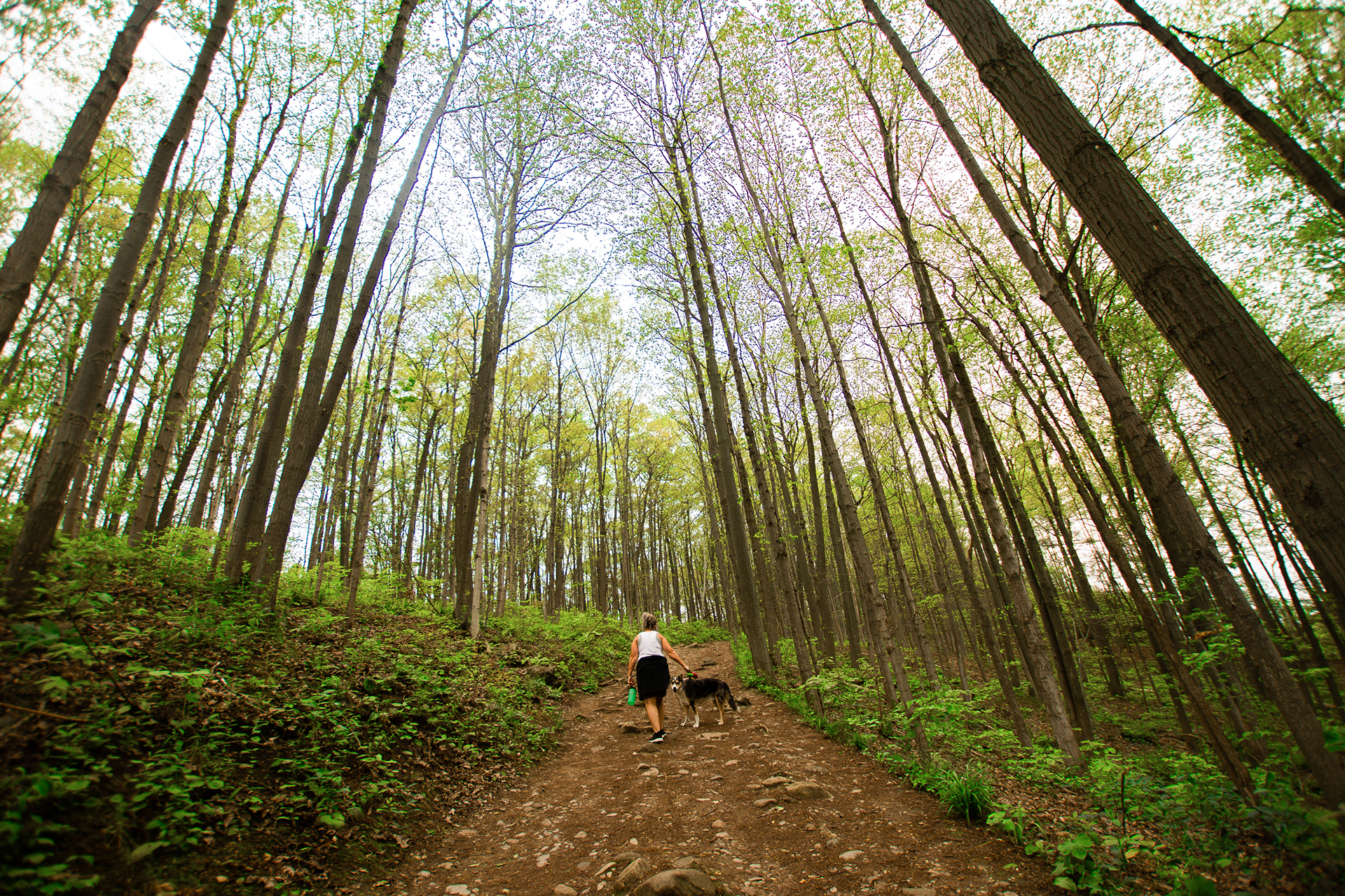 New Urban Parks on the Horizon in Canada