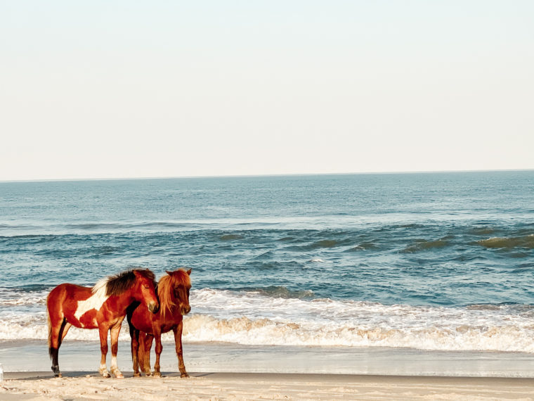 18 Campgrounds Where You Can Stay Cool This Summer