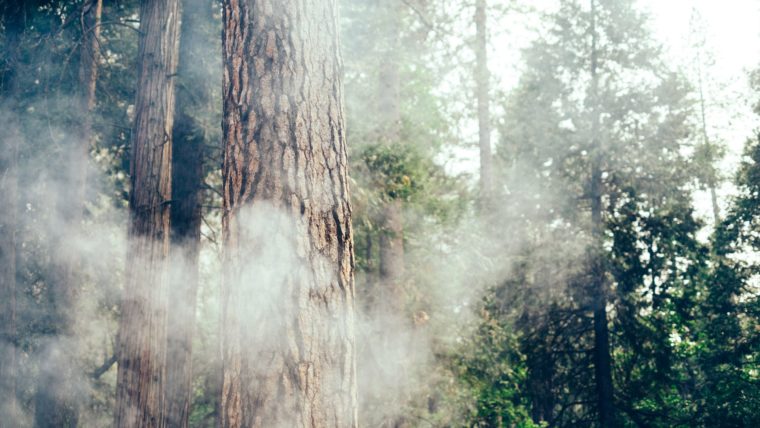 How to Stay Safe During Wildfire Season: Introducing Campendium’s New Smoke Map Feature