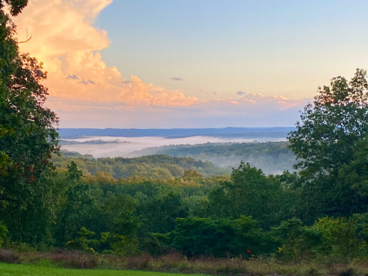 How and Where to Go Hammock Camping in the U.S.