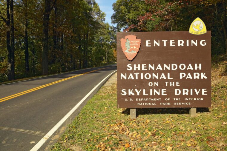 Where to Camp When Visiting Shenandoah National Park