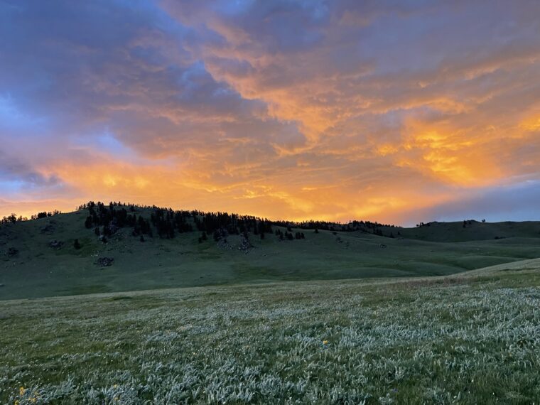 The Most Popular National Forests in the U.S. for Camping