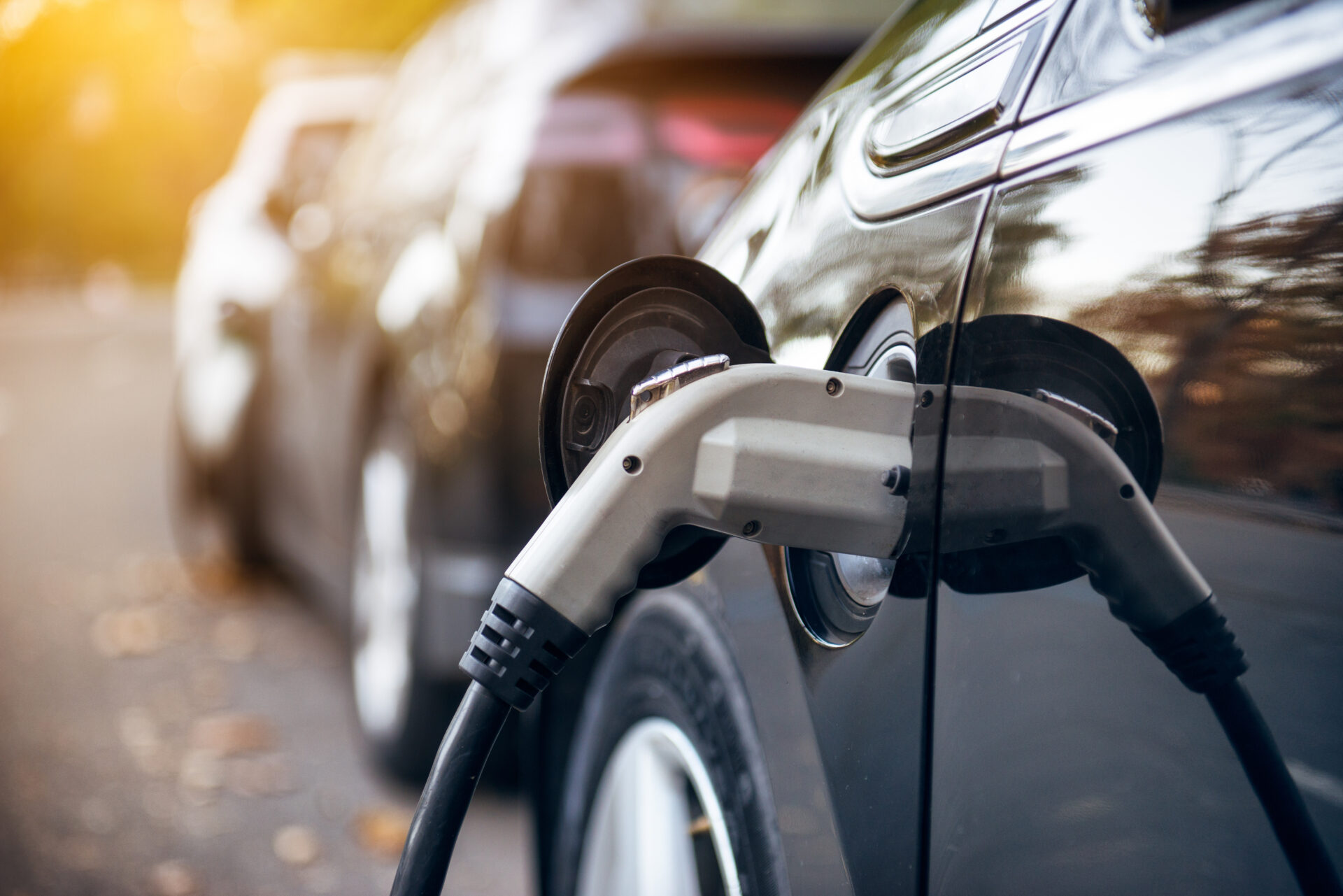 What RVers Should Know About California’s Gas-Powered Vehicle Ban