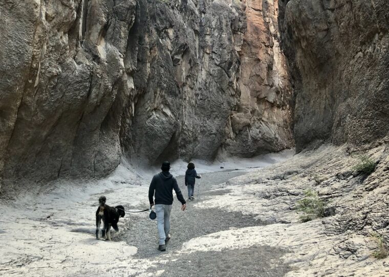 Start the Year Off on the Right Foot With a First Day Hike