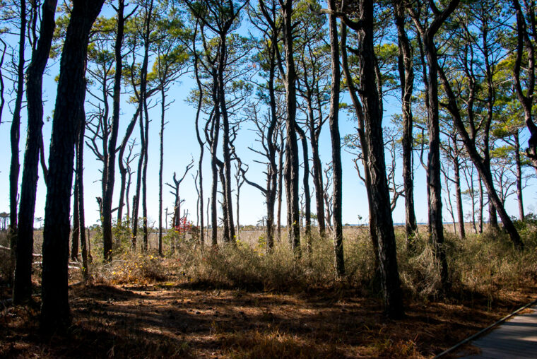 5 Mid-Atlantic State Parks Worthy of a Detour