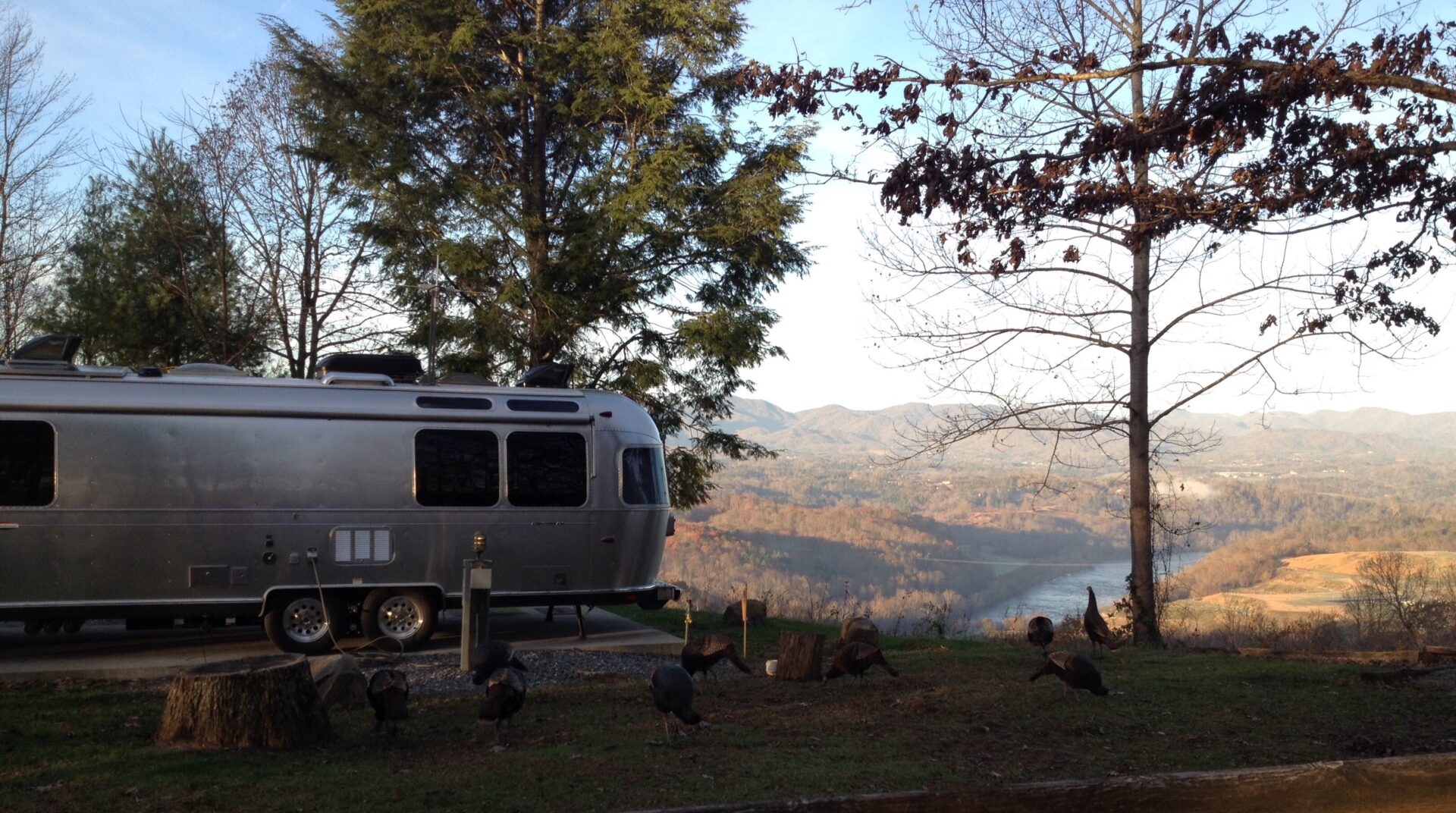 7 Best National Forests for Spring Camping