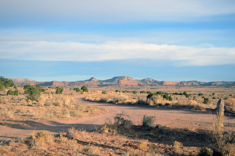 How to Visit Cibola National Forest and Where to Camp