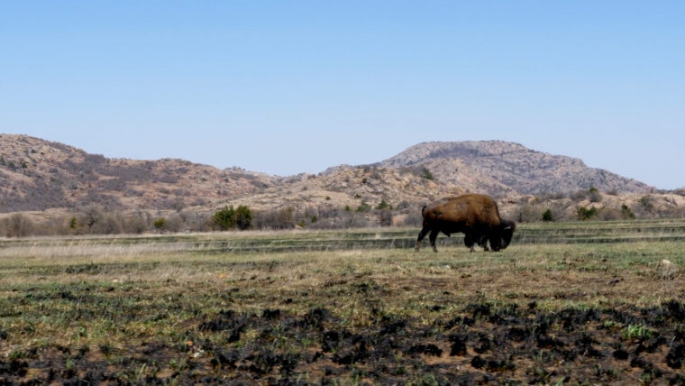 Video: Guide to Oklahoma State Parks