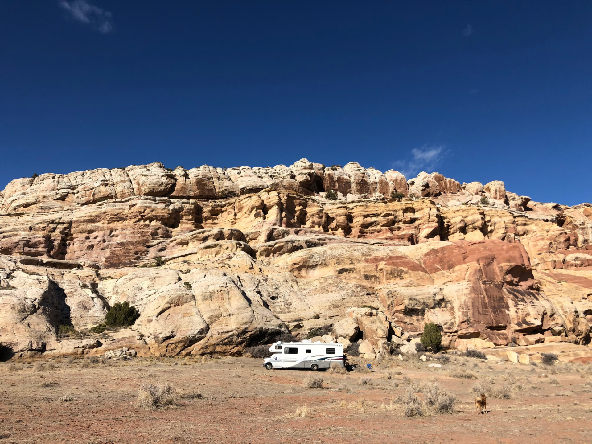 BLM Camping: What It Is, Where It’s Allowed, and How to Find Legal Campsites